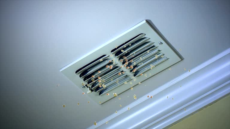 Best Commercial Air Duct Cleaning  in Charleston, MO